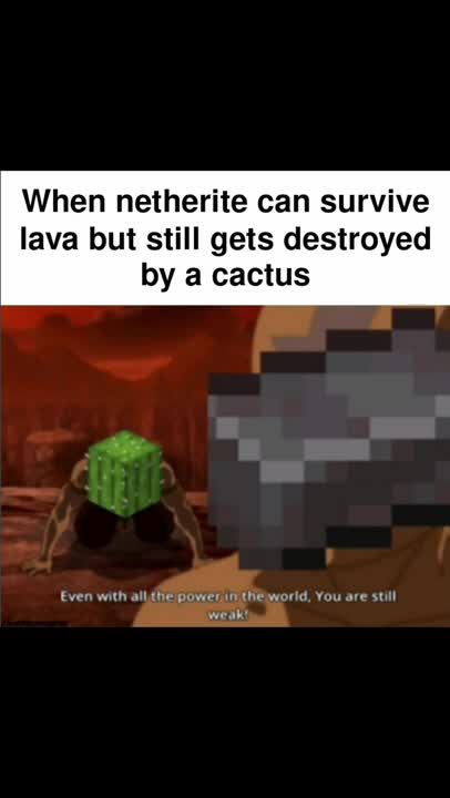 Minecraft Memes