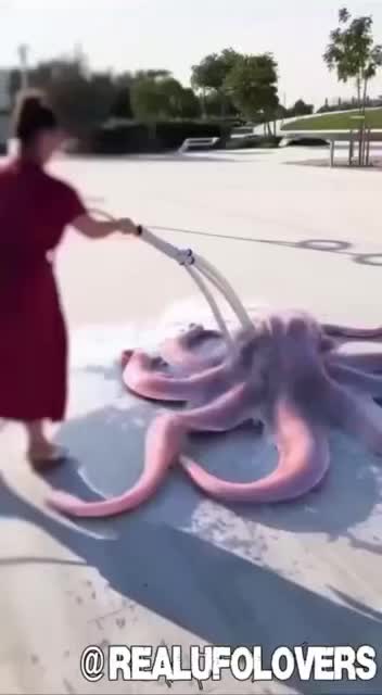 Crazy stuff for lazy Monday