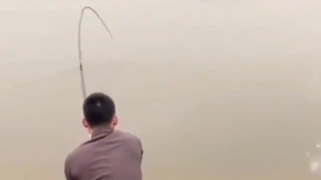 This is a beautiful and charming water-dwelling species