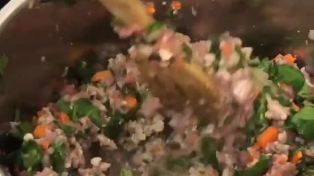 Dog eats better than most humans