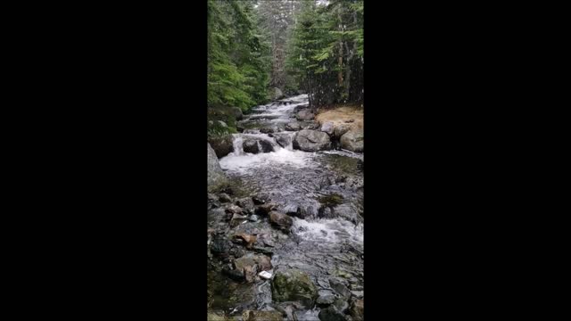 calm music and nature for relief anxiety focus and sleep