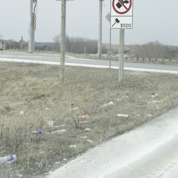 What is Wrong with People in Toronto Canada?