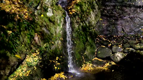 Waterfall Leaves Awesome Combination