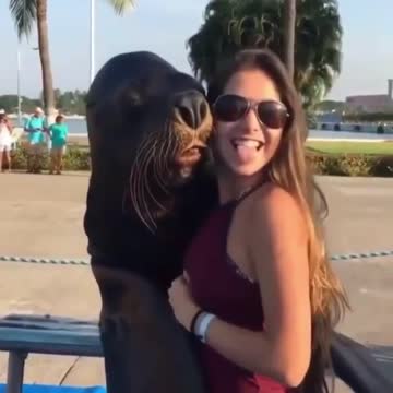 Seal taking funny picture with girl!