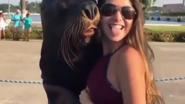 Seal taking funny picture with girl!