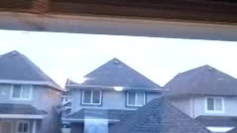 THE JOY KING TESTIFIES. OCT 15, 7:38am finish, 2023.