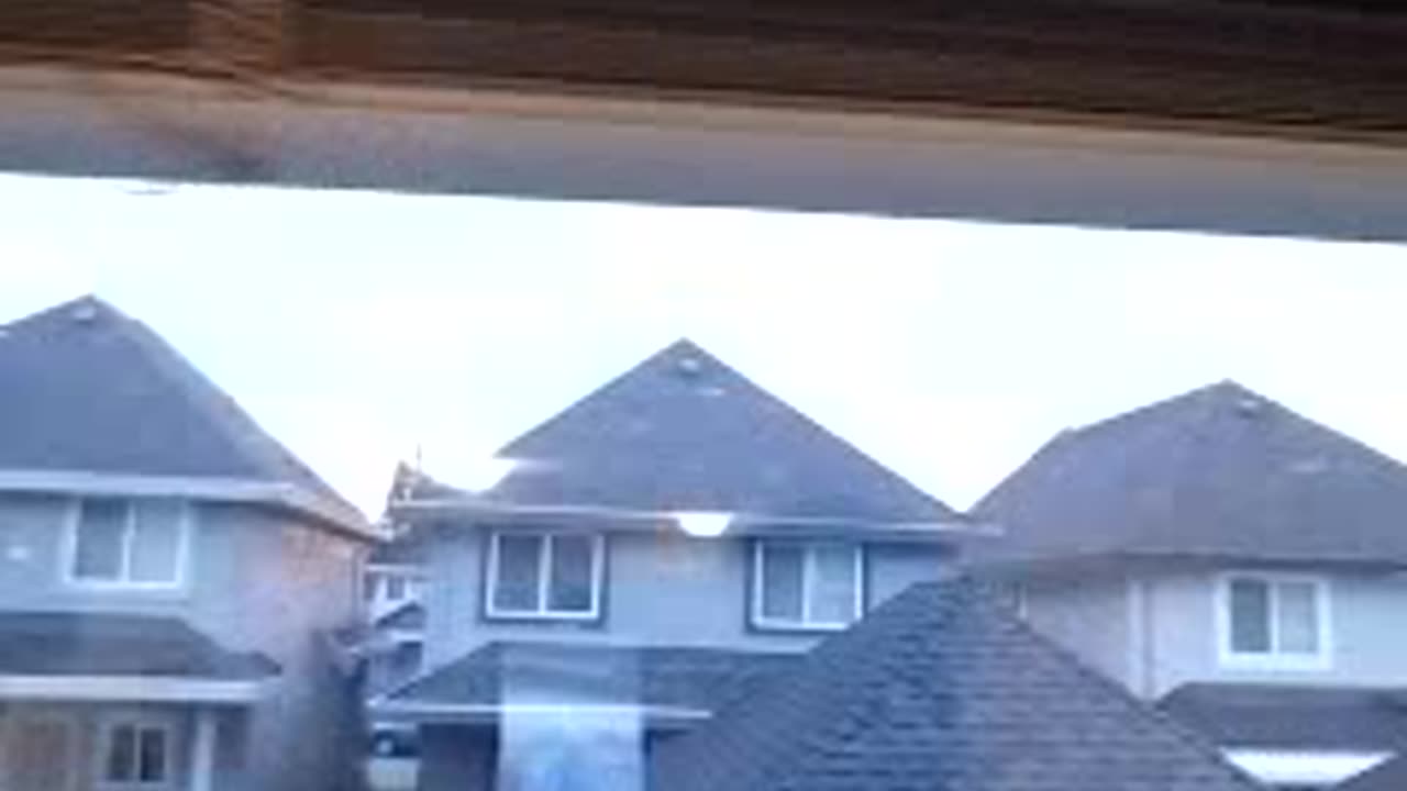 THE JOY KING TESTIFIES. OCT 15, 7:38am finish, 2023.