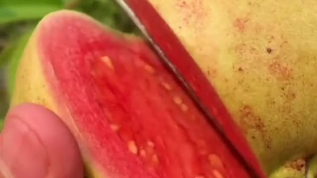 Fruits Video Farm Fresh Ninja Fruit Cutting Satisfying Fruit | Amazing Fruits Video #fruits #short