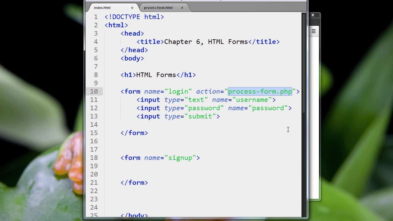 HTML5_PRO_ch6-03-forms-part-3-0618 (720p)
