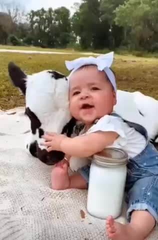 Dramatic toddler thinks she's found a scary bug 2022