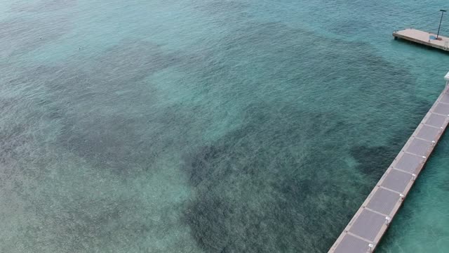 Grand Cayman Rum Point.