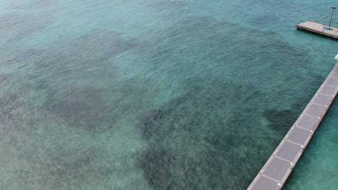 Grand Cayman Rum Point.