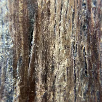 What your guitar looks like up close - 20x Zoom