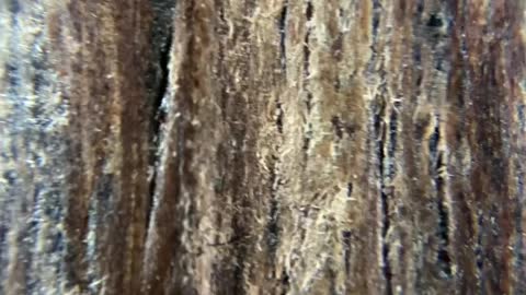What your guitar looks like up close - 20x Zoom