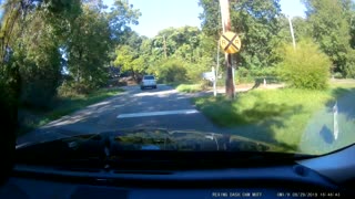 Car v Train