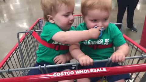 Baby fighting comedy