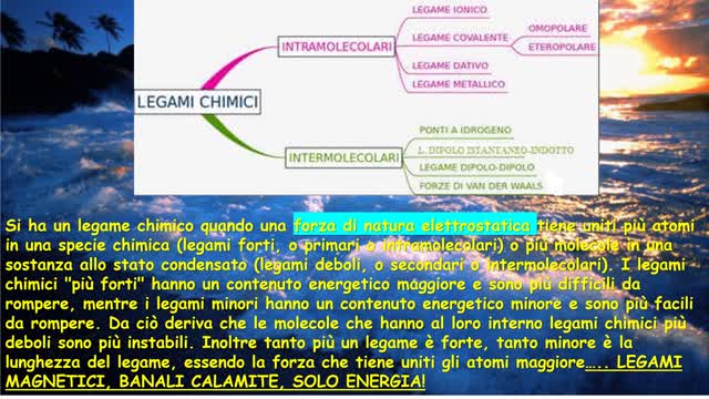 I virus non sono quello che credono i virologi