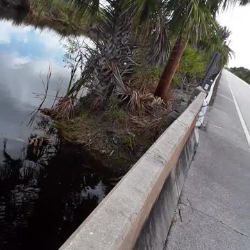 Florida Gators WIN! I lose. I will try fishing elsewhere.