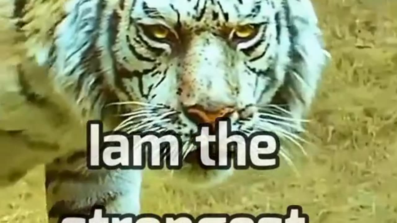 hfhdhd