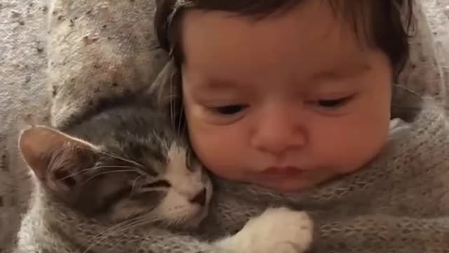 Baby Pussycat & Baby Girl Fall Asleep Wrapped Up Together
