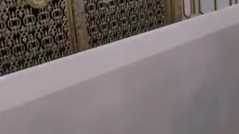 Riyazul Jannah || Riyazul Jannah view || masjid nabvi || masjidnabvilive