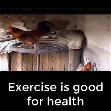 Cute little girl doing exercise