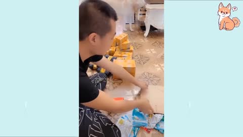 Cute and Funny Puppies Compilation Part 1