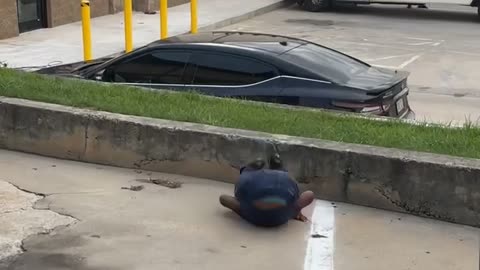 Boy Tries Somersaulting Onto Concrete