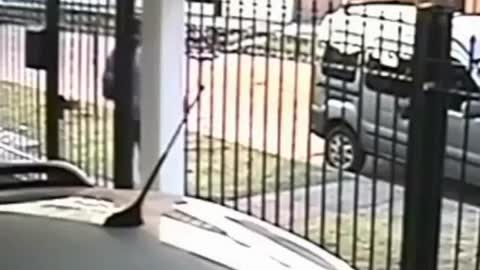 Theft fails, unlucky, most stupid ... so funny
