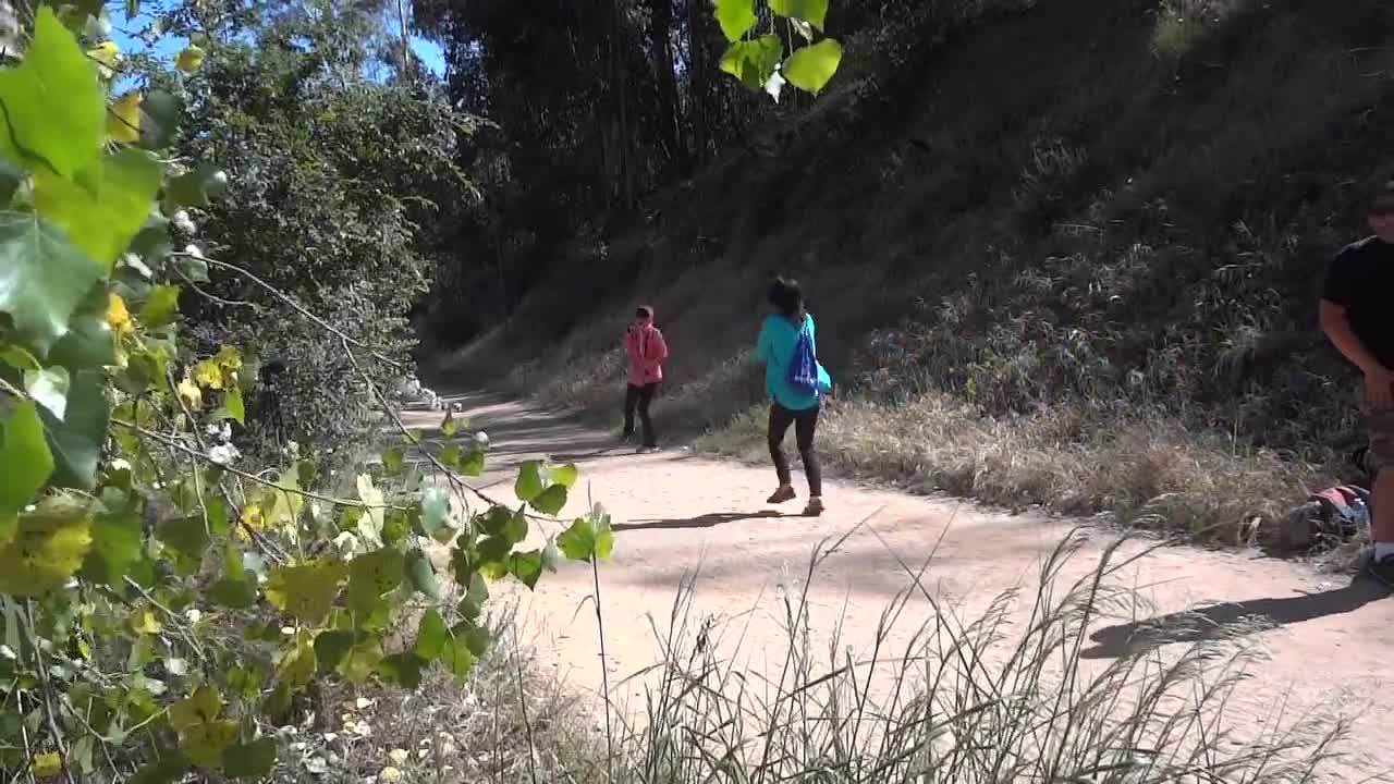 Bushman Scare Prank Compilation! Greater scares