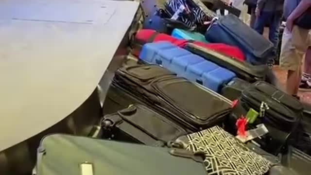 Overflowing baggage carousels with 5+ hour wait for luggage.