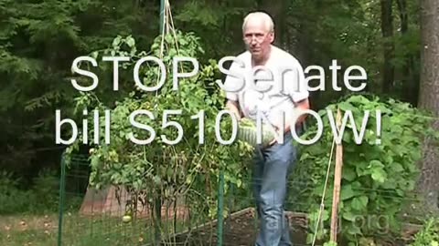 #240 - 20100821 - Freedom Garden update 2010_08_21, Stop Senate bill S510!!!