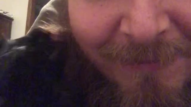 Kitten Washing My Beard