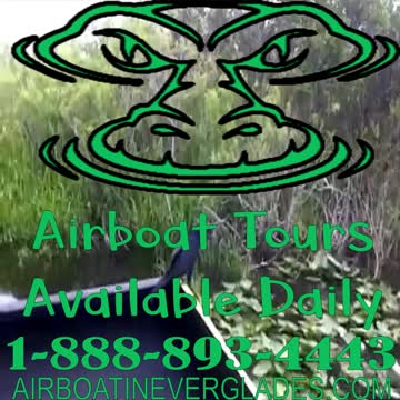 Airboat Tours in Miami Florida
