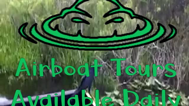 Airboat Tours in Miami Florida