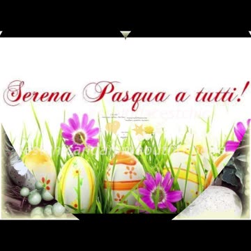 Buona Pasqua 🕊🐣🌿💕 #cestchic_aop_m_v