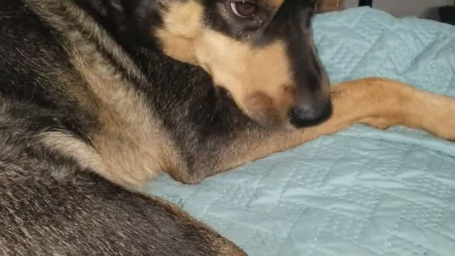 Don't Mom Me!