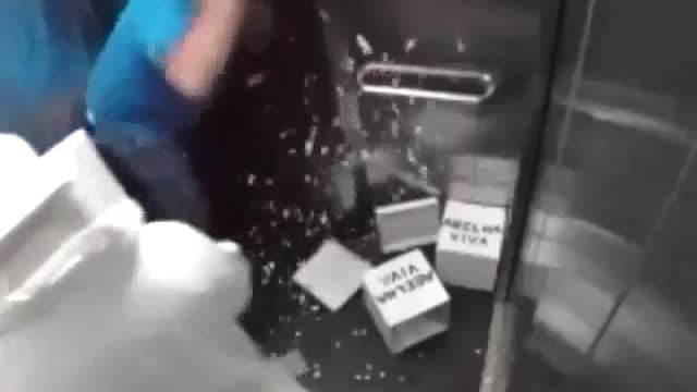 Bee attack in the elevator