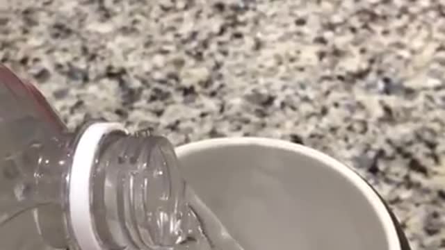 Pursanova Technology Water Test on Animals