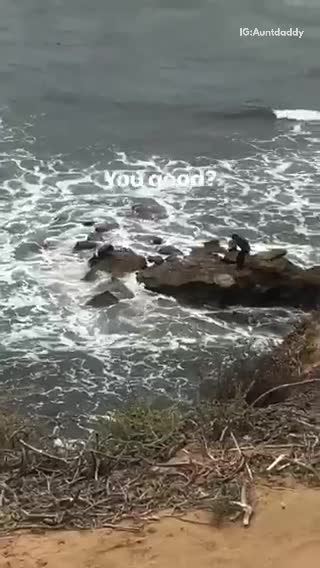 You good two men on rocks at beach