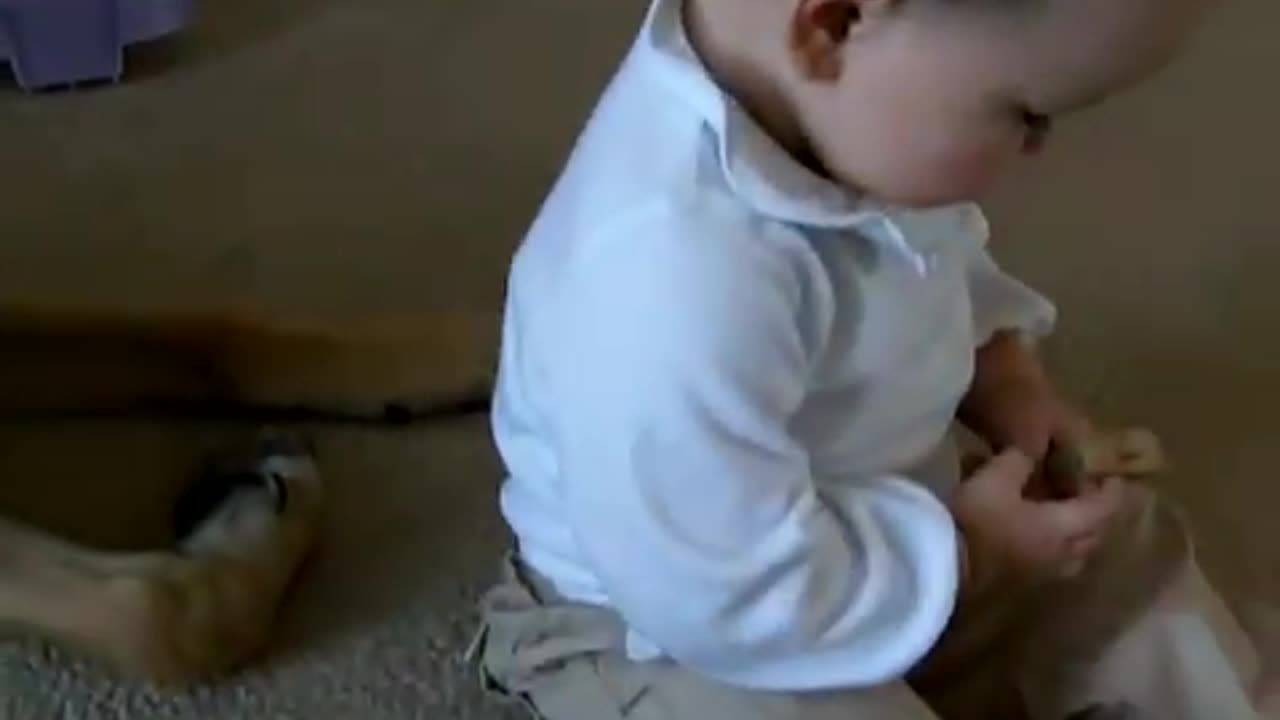 Dog Sits Next To Baby And They Started Playing Together!