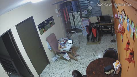 hallback day n night 20220308