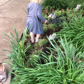 Little girl thinks frog shaped rock is real and keeps petting it