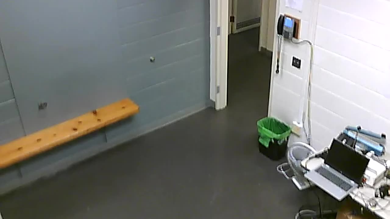 1700HQOB02208ALiveScanRoom_2021-01-06_18h40min03s940ms.mp4