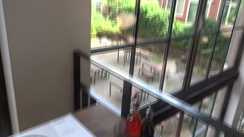 Lekker hapje Wagamama Rotterdam, zeebaars met noedels, Oosterse Lekkernij