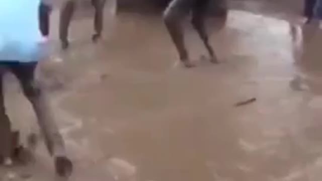 Indian Nagini dance funny vedio