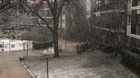 芝加哥今天早上突然下了一陣大雪！