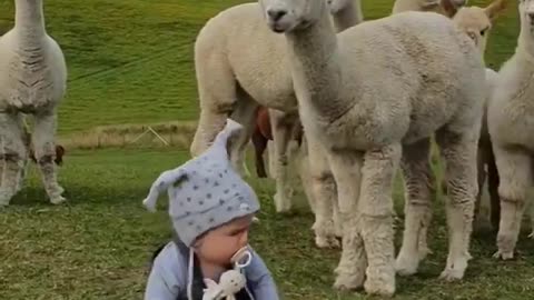 Curious friends