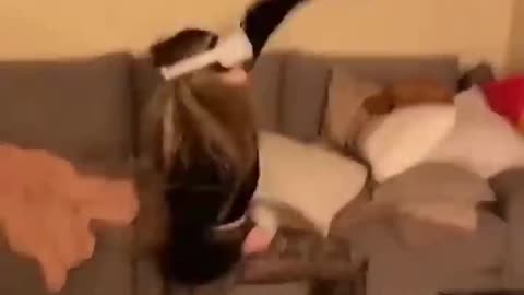 The end 😂🤣😂🤣#TRY NOT TO LAUGH#FUNNY#VIRAL