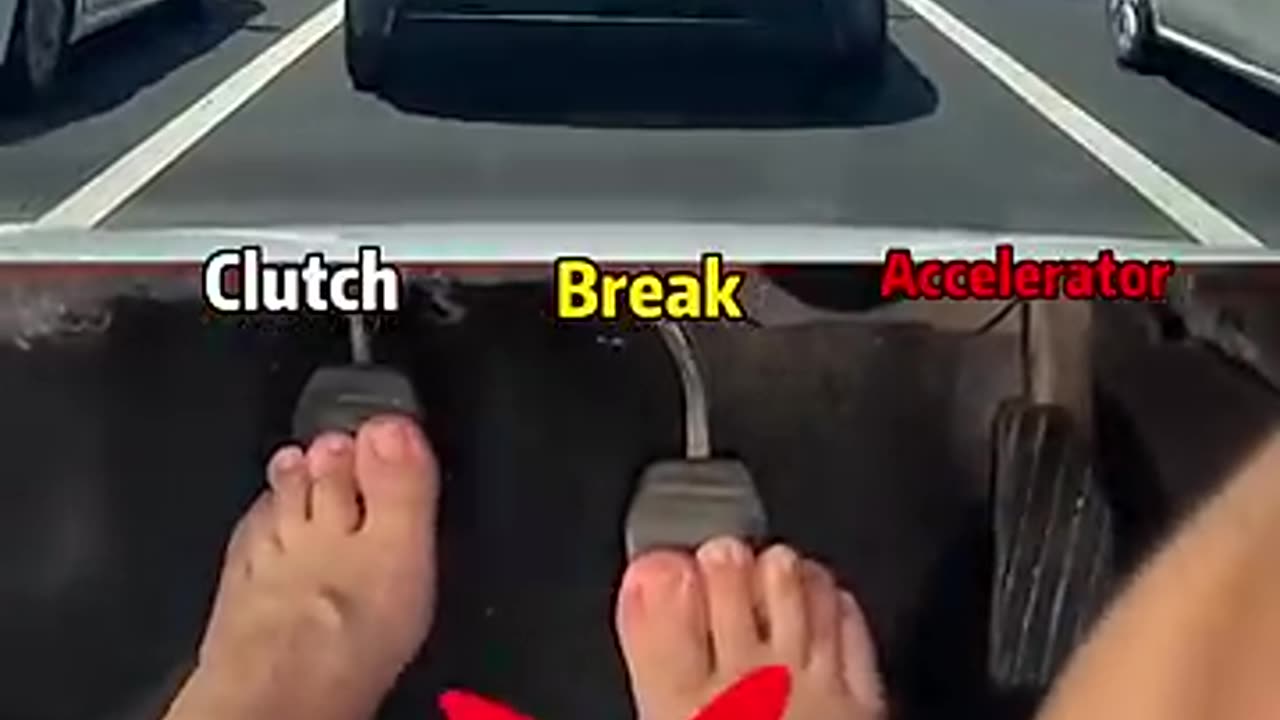 Learning Drive